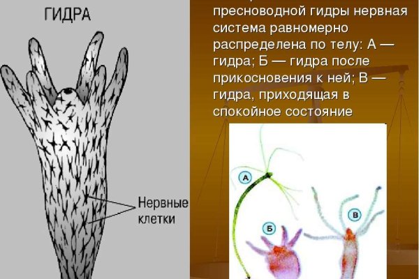 Омг работает